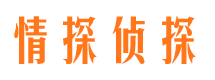 临高外遇出轨调查取证